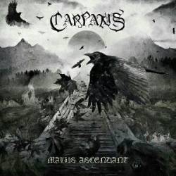 Carpatus : Malus Ascendant